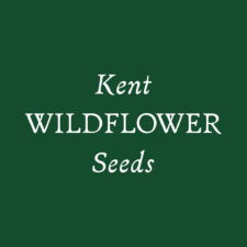Kent Wildflower Seeds Logo 24